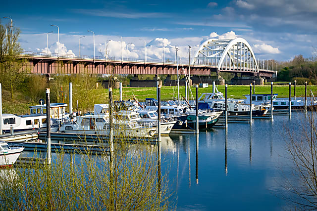 shutterstock_1296189535